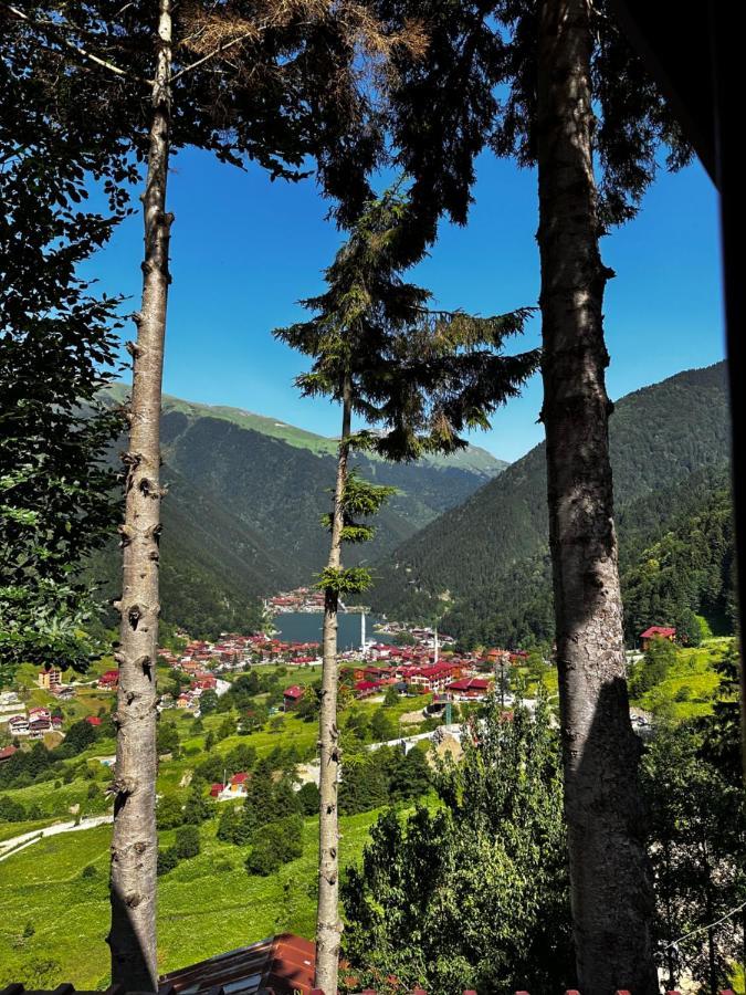Апарт готель Maneviga Cafe & Apart Узунгьоль Екстер'єр фото